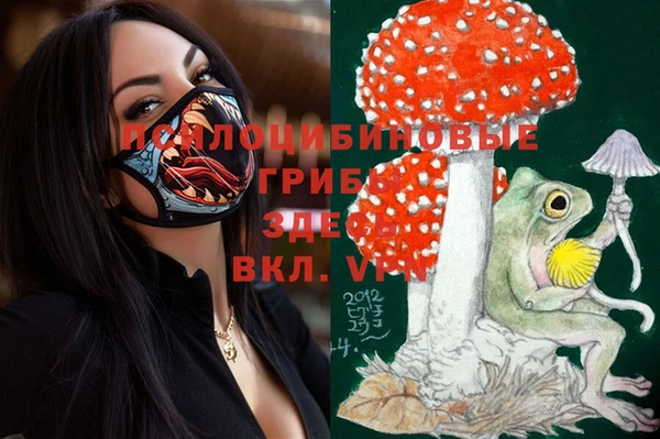 трава Шадринск